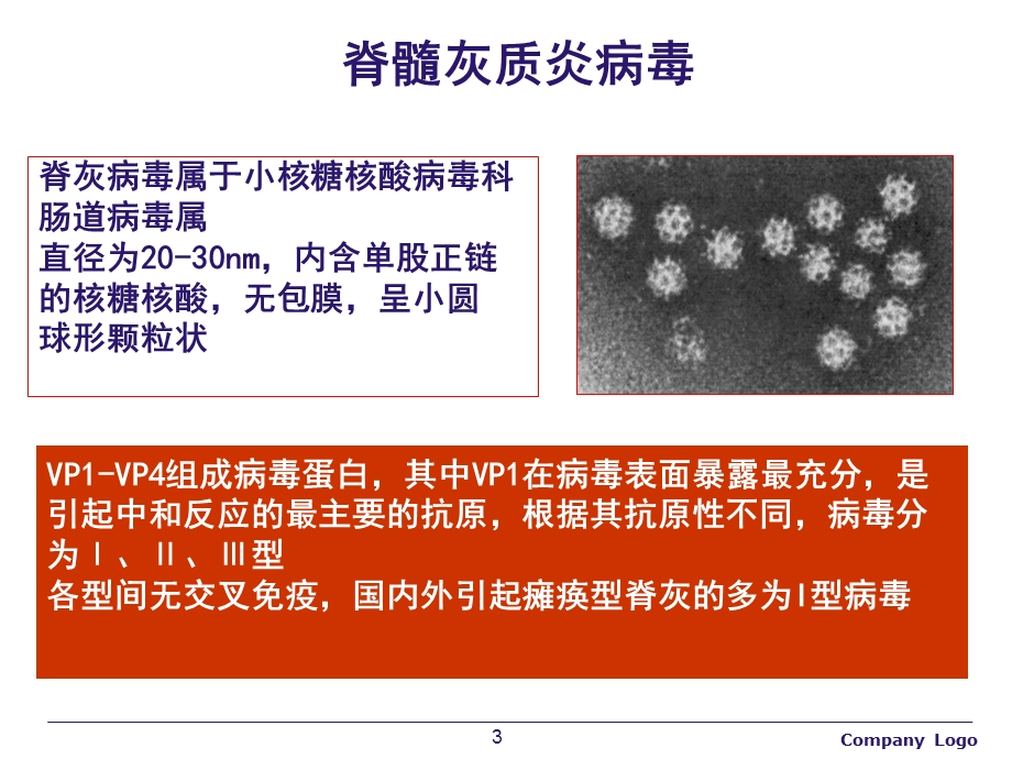 脊髓灰质炎的诊断与治疗课件.pptx_第3页