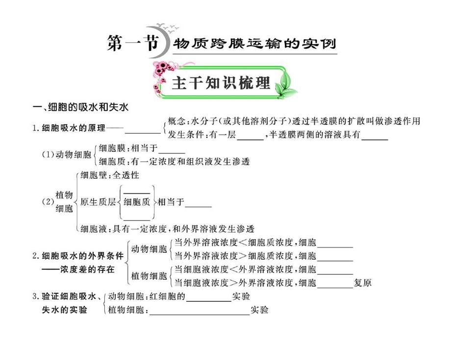 质壁分离试验的拓展应用课件.ppt_第3页