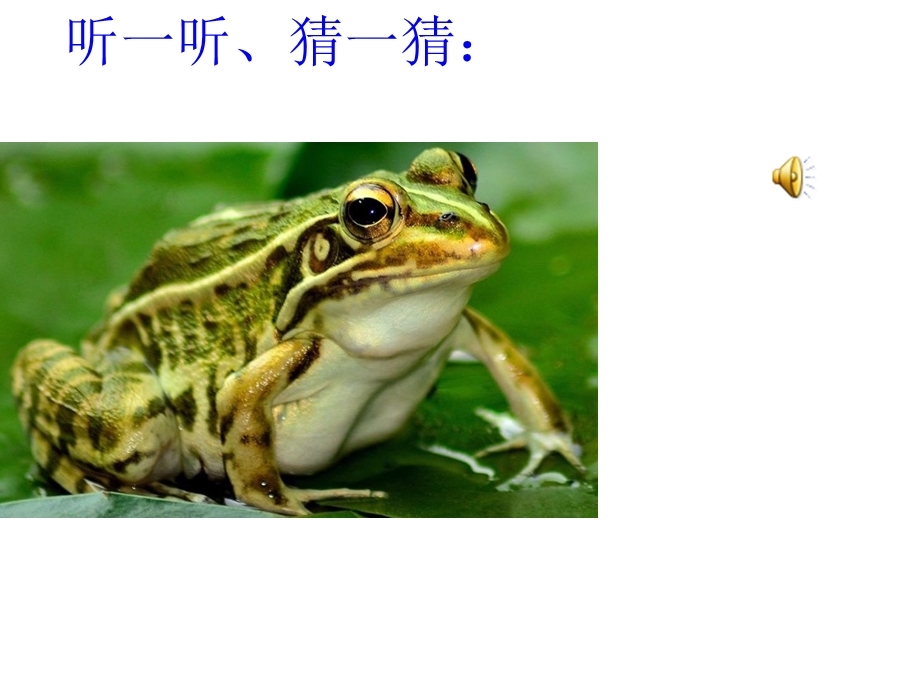 部编版小青蛙课件.ppt_第2页