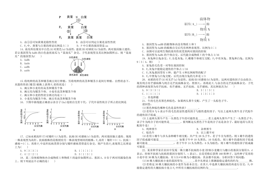 分离定律和自由组合定律精选练习题.doc_第2页