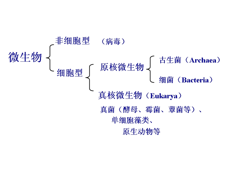 第一章-微生物的形态和细胞结构-课件.ppt_第3页