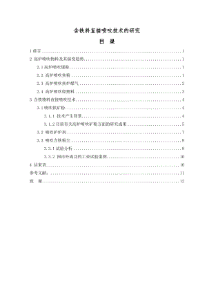 毕业设计（论文）含铁料直接喷吹技术的研究.doc