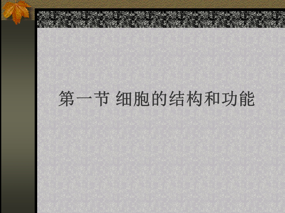 遗传的细胞基础课件.ppt_第2页