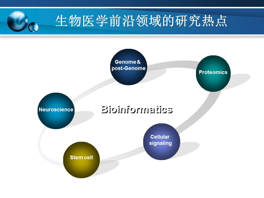 生物医学研究热点及意义-课件.ppt_第3页