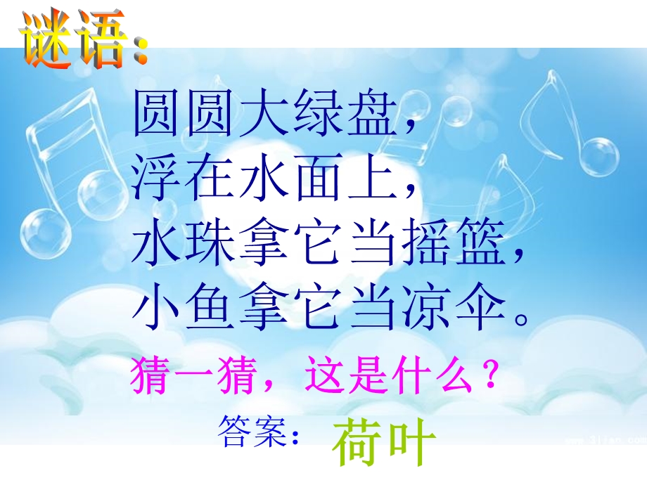 部编版语文一年级下册《荷叶圆圆》ppt课件.ppt_第1页