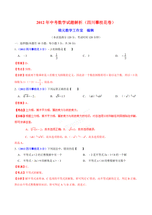 中考真题精品解析 数学（攀枝花卷） .doc