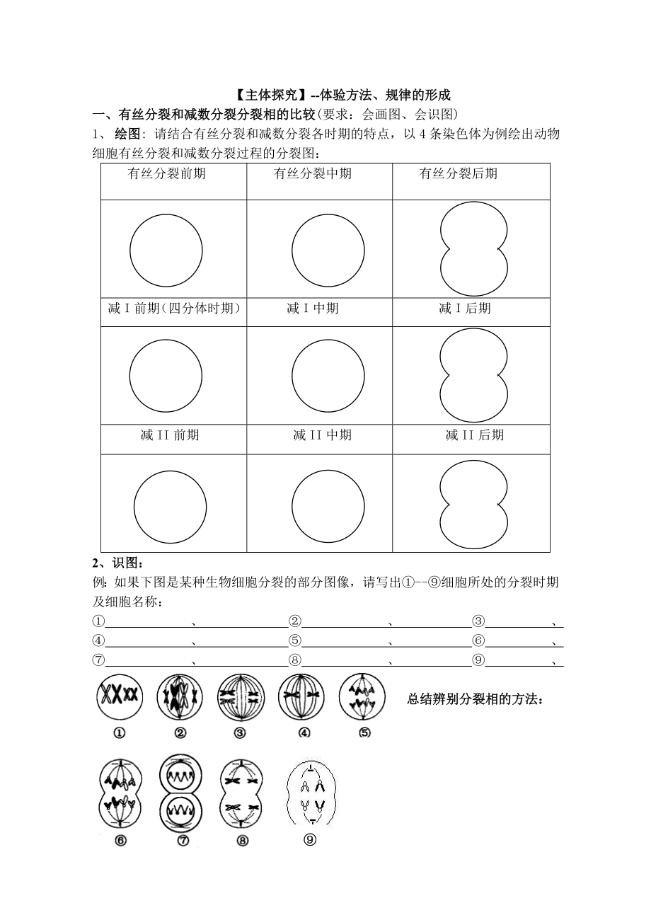 人教版高三生物一轮复习学案《减数分裂和受精作用》 .doc_第3页