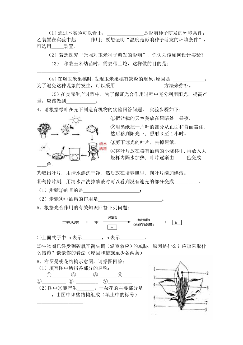 七级上生物复习题(图、实验).doc_第2页