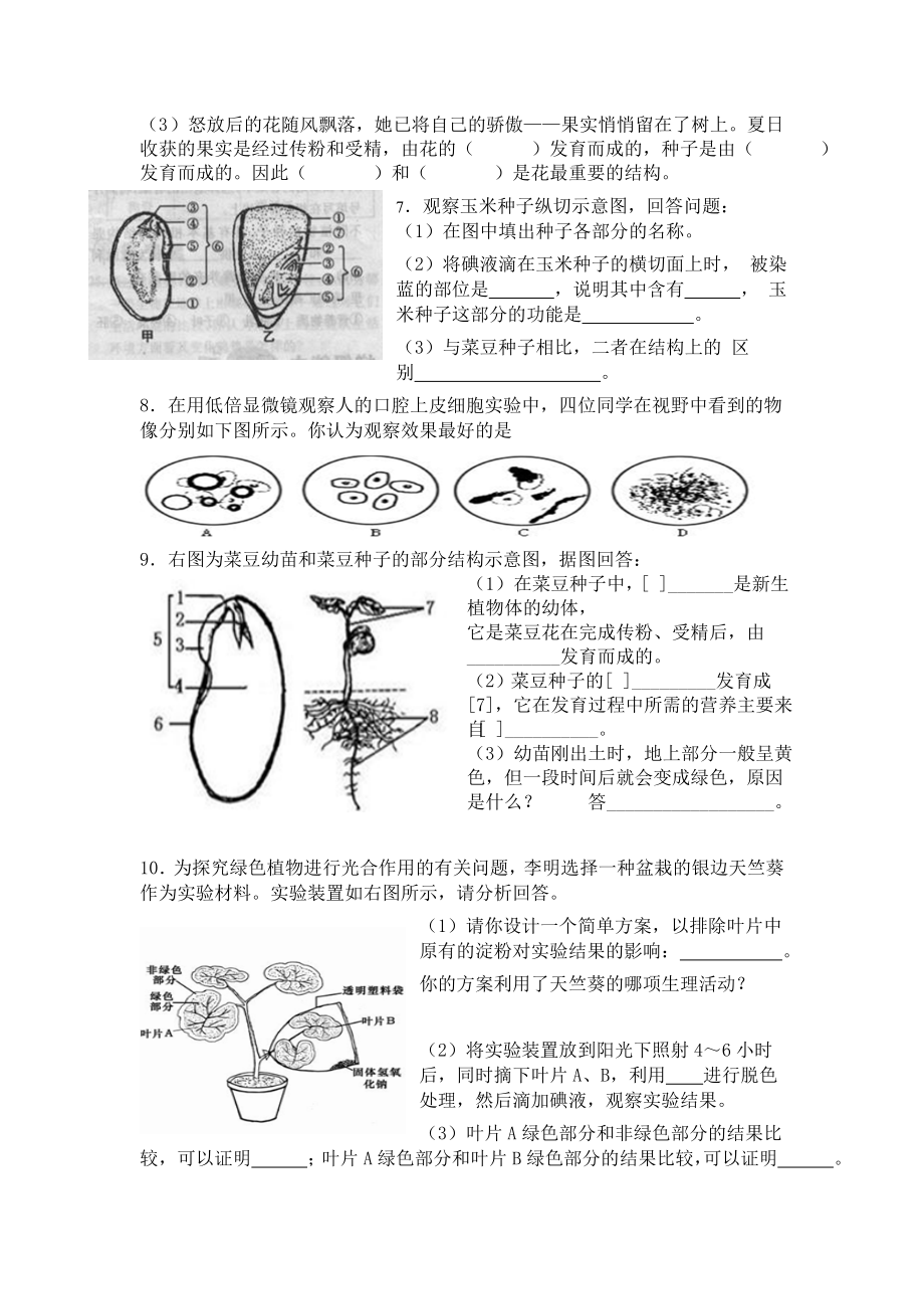 七级上生物复习题(图、实验).doc_第3页