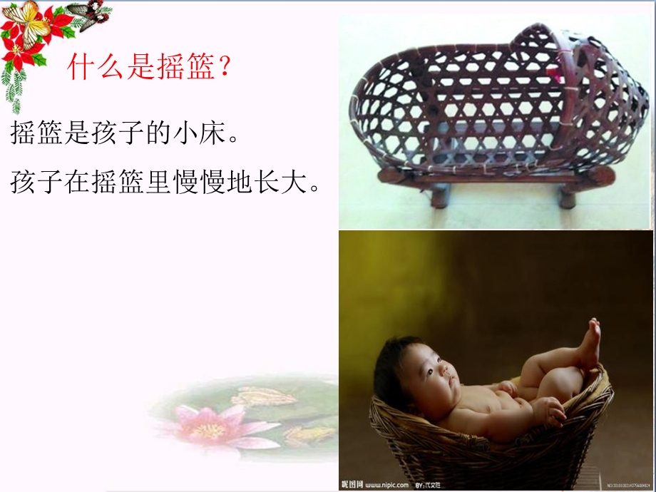 祖先的摇篮精品ppt课件.ppt_第2页