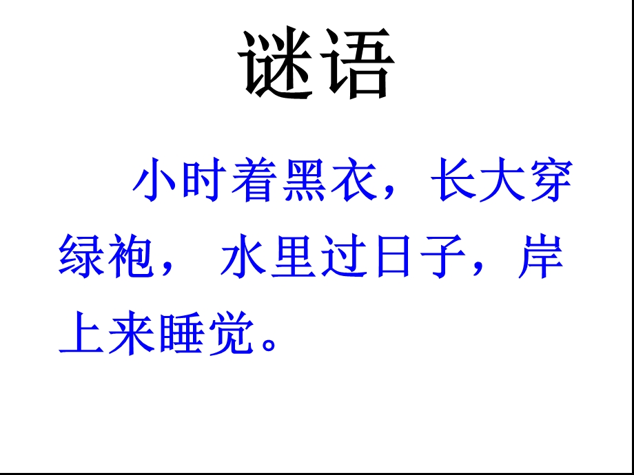 苏教版语文三下习作六《谈谈自己的看法》课件.ppt_第3页