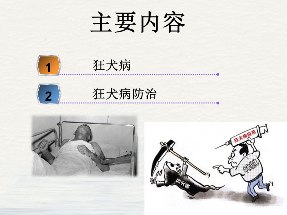 狂犬病及狂犬病防治课件.ppt_第2页