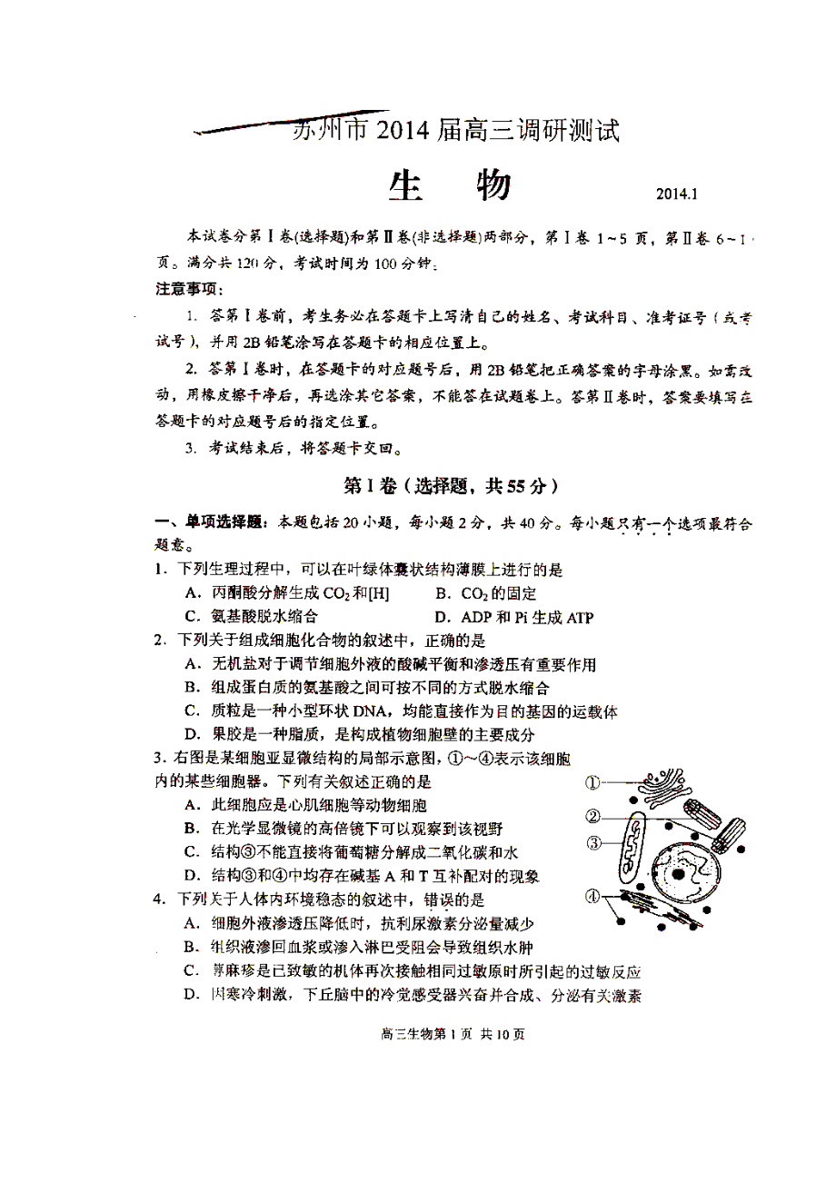 苏州市高三1月第一次调研生物试题及答案.doc_第1页