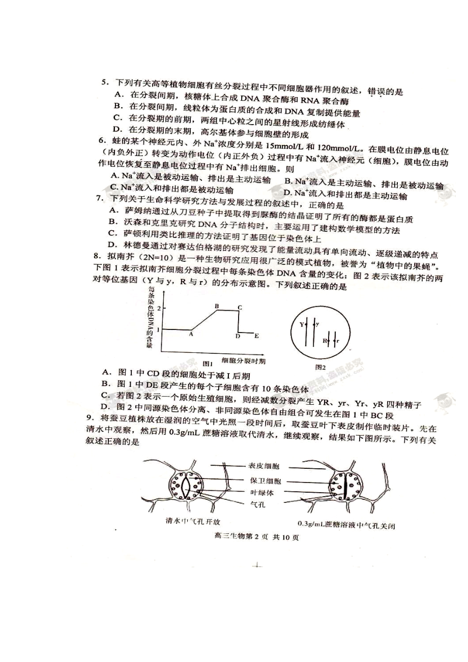 苏州市高三1月第一次调研生物试题及答案.doc_第2页