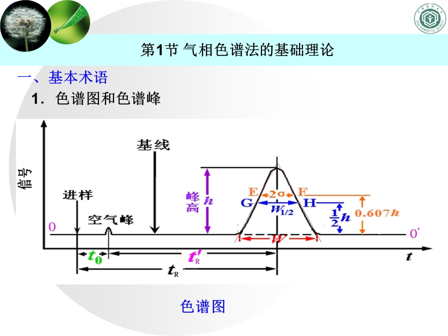 组分在流动相中扩散系数课件.ppt_第2页