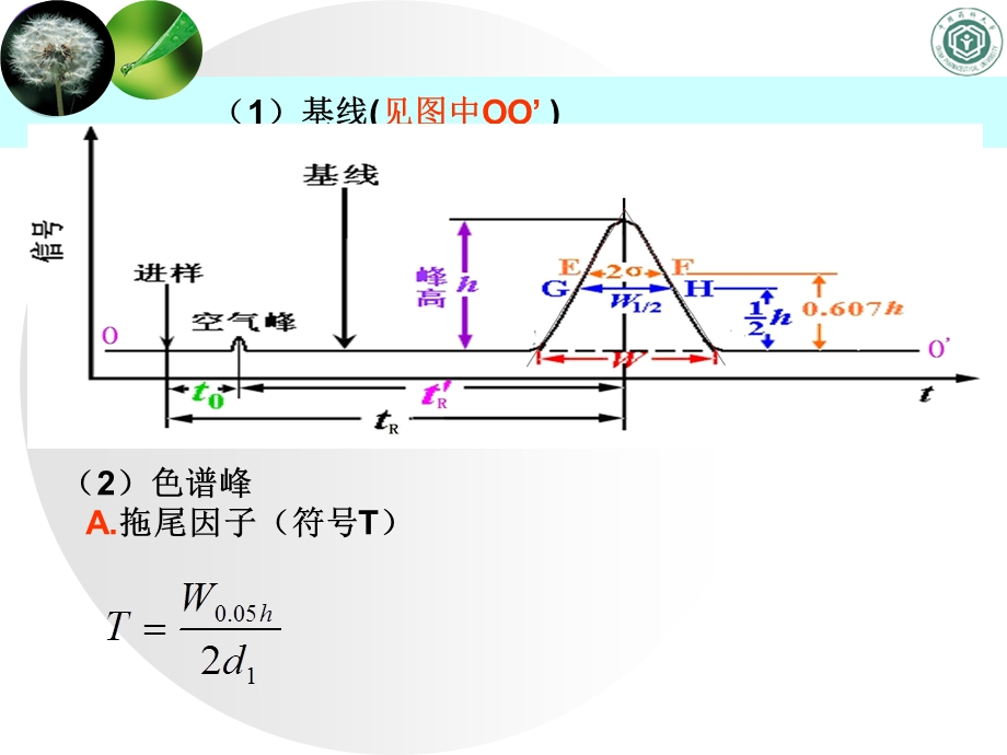 组分在流动相中扩散系数课件.ppt_第3页