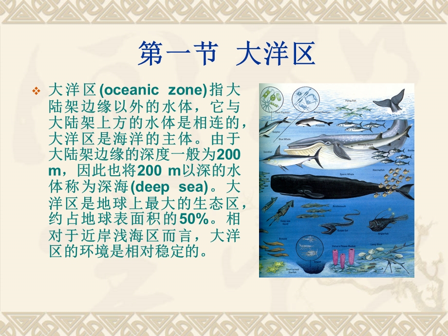 深海区热液口区和极地海区课件.ppt_第1页