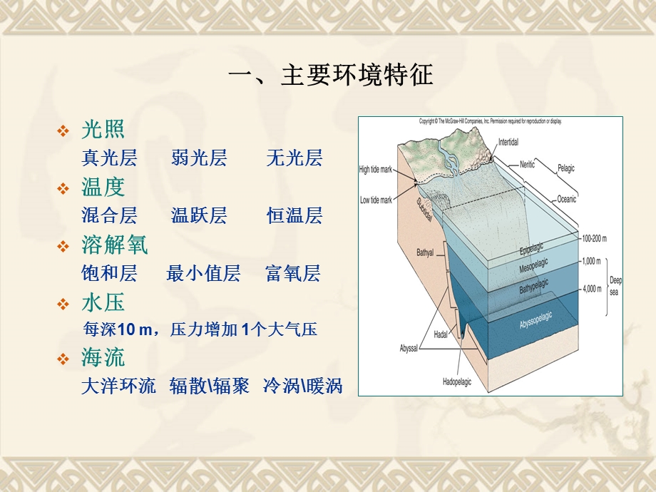 深海区热液口区和极地海区课件.ppt_第2页