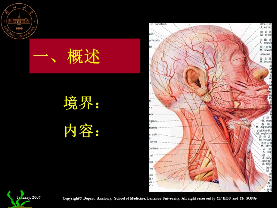 系统解剖学系统解剖学课件.ppt_第2页