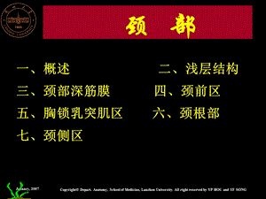 系统解剖学系统解剖学课件.ppt