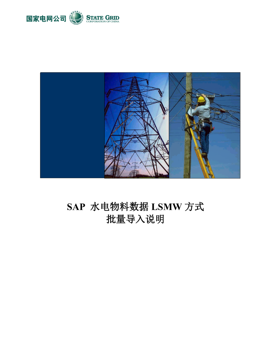 LSMW 主数据导入手册0719V10.doc_第1页