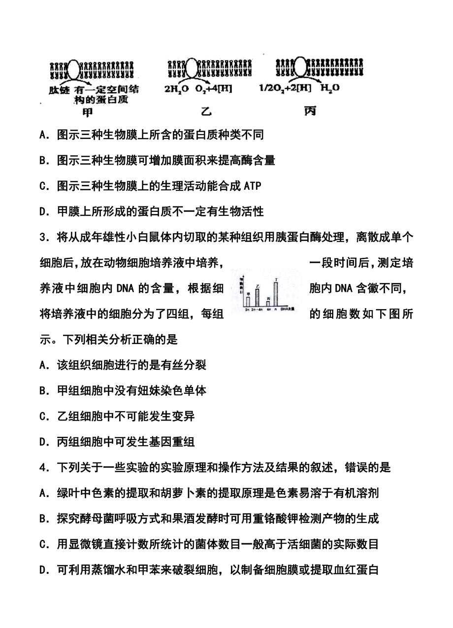 四川省眉山市高三第二次诊断性考试生物试题及答案.doc_第2页