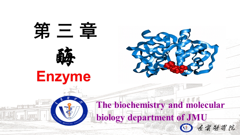 酶的分子结构与功能课件.ppt_第2页