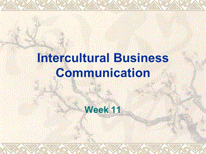 跨文化商务沟通Wk11-Intercultural-Business-Communication课件.ppt