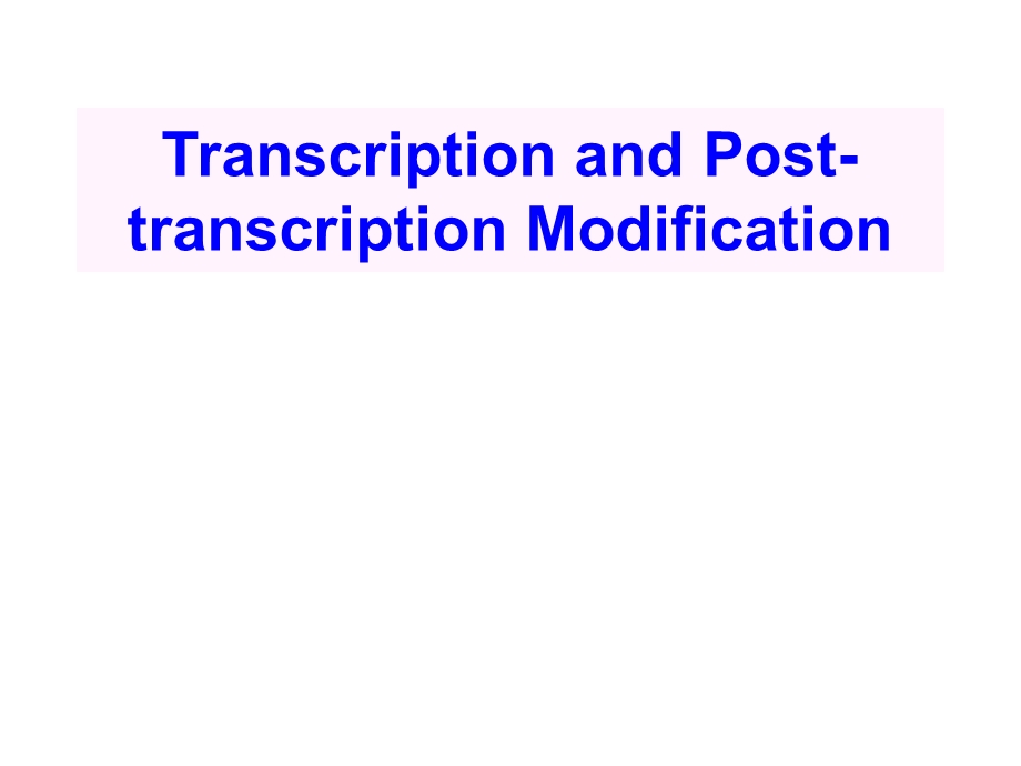 转录及转录后修饰课件.ppt_第1页