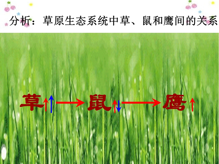 生态系统的自我调节-课件-济南版.ppt_第3页