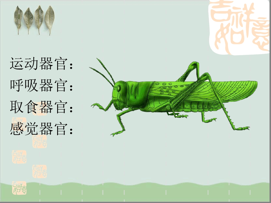 节肢动物-教学ppt课件-人教版.ppt_第2页