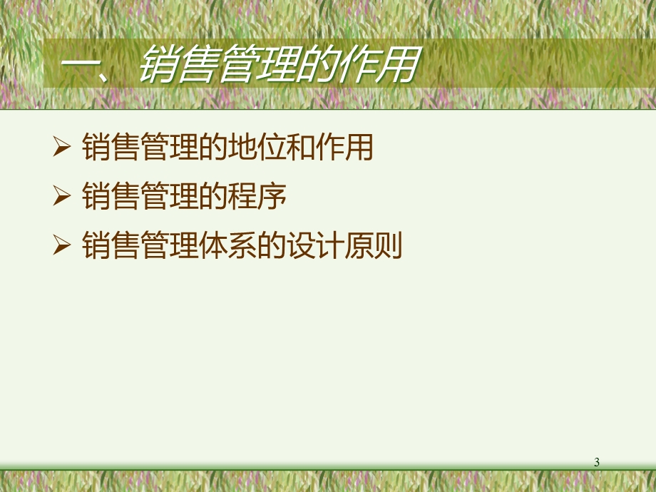 销售管理体系方案课件.pptx_第3页