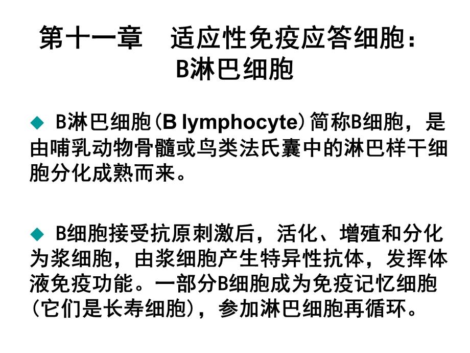 适应性免疫应答B淋巴细胞课件.ppt_第1页