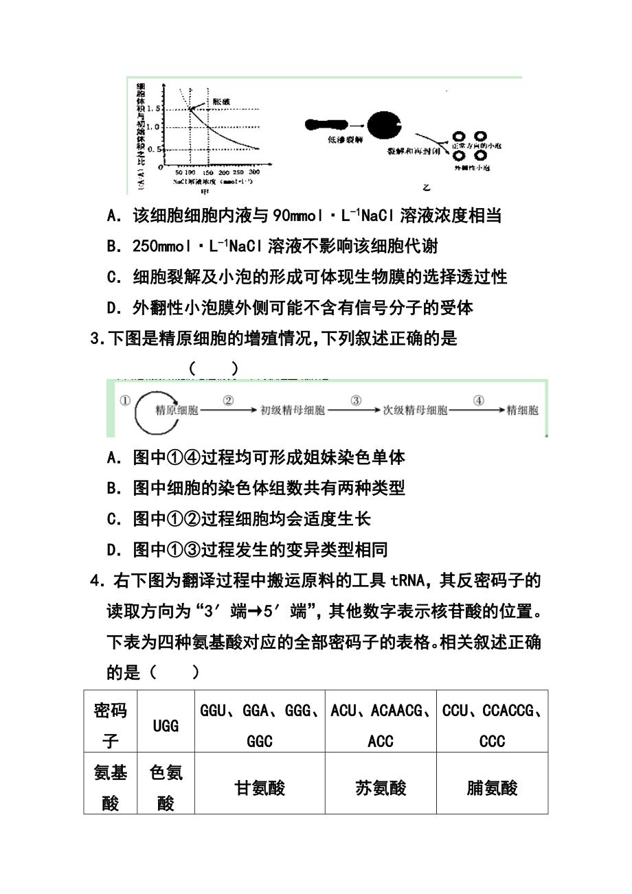 山东省高三冲刺模拟（五）生物试题及答案.doc_第2页