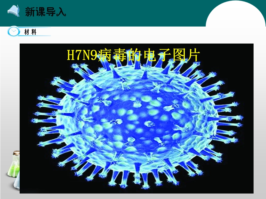 蛋白质和核酸0(ppt课件).pptx_第3页