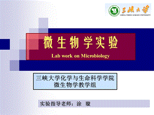 酵母形态观察及死活细胞鉴别微生物大小测定显微镜直接计数法课件.ppt