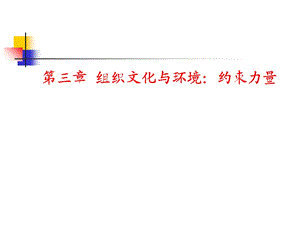 组织文化与环境概论课件.ppt