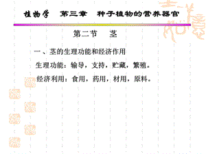 第三章第二节：种子植物的营养器官(茎)ppt课件.ppt