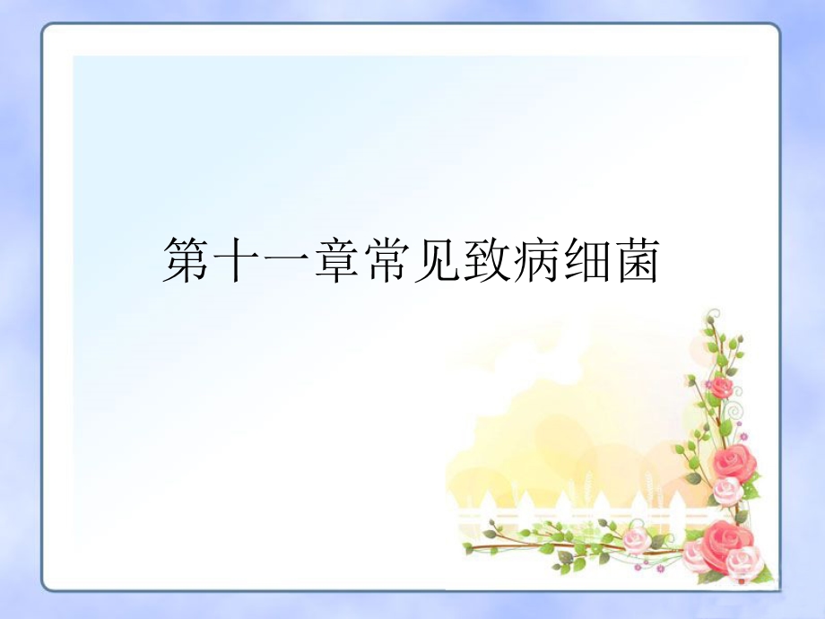 第十一章常见致病细菌课件.ppt_第1页