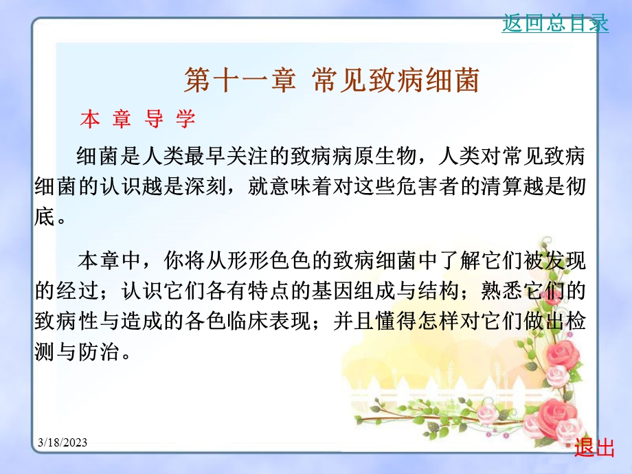 第十一章常见致病细菌课件.ppt_第2页