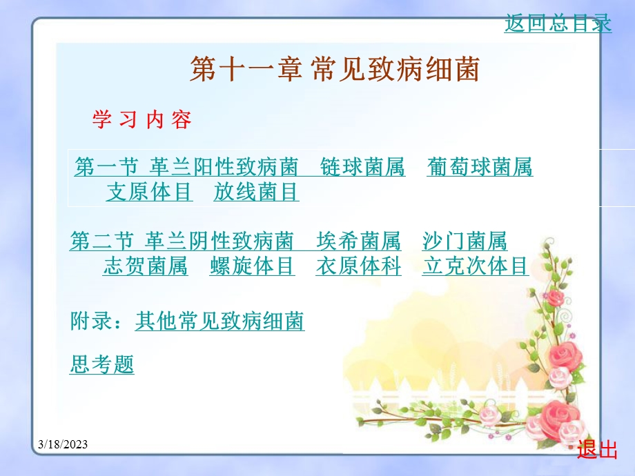 第十一章常见致病细菌课件.ppt_第3页