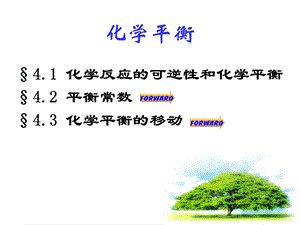 大学无机化学课件化学平衡.ppt