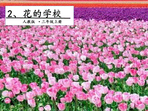 部编版《花的学校》课件.pptx