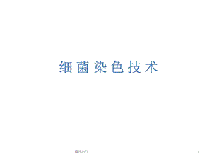 细菌染色技术课件.ppt