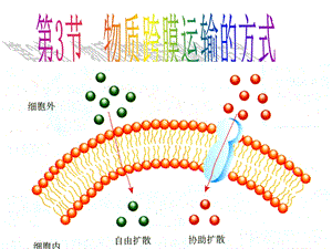 物质跨膜运输的方式-人教课标版课件.ppt