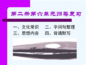 第二册第六单元归类复习一、文化常识二、字词句整理三、思想内容四、背诵默写课件.ppt