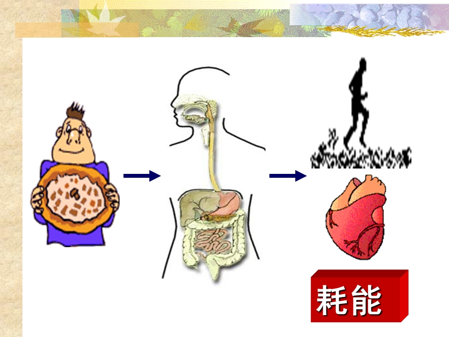 能量代谢与体温课件.ppt_第3页