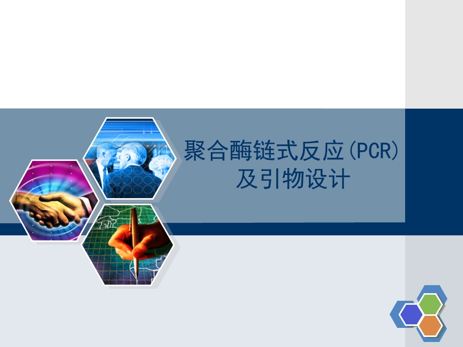 聚合酶链式反应(PCR)及引物设计-课件.ppt_第1页
