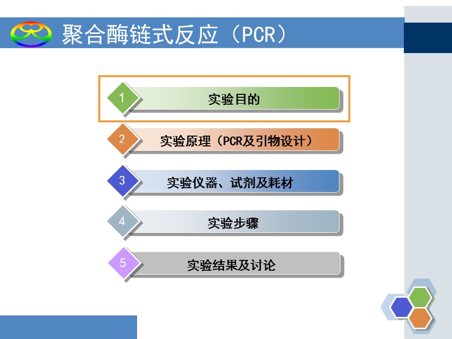 聚合酶链式反应(PCR)及引物设计-课件.ppt_第3页