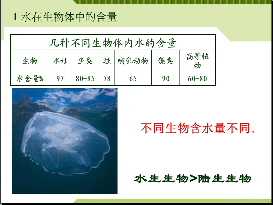 细胞中的无机物人教课标版课件.ppt_第3页